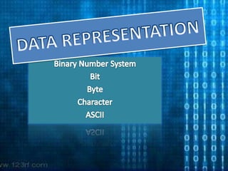 DATA REPRESENTATION Binary Number System Bit Byte Character ASCII 