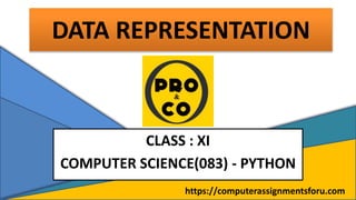 DATA REPRESENTATION
CLASS : XI
COMPUTER SCIENCE(083) - PYTHON
https://computerassignmentsforu.com
 