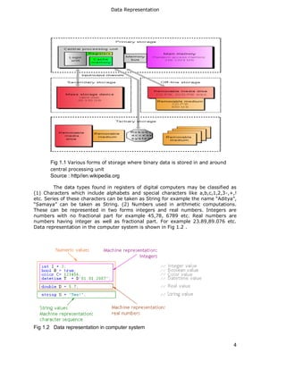 Data representation | PDF