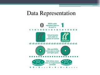 Data Representation class 11 computer.pptx