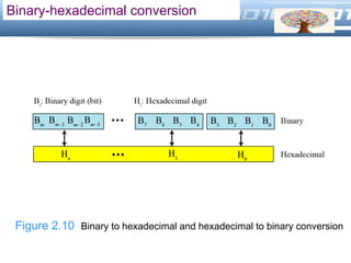 LOGO
Binary-hexadecimal conversion
Figure 2.10 Binary to hexadecimal and hexadecimal to binary conversion
 