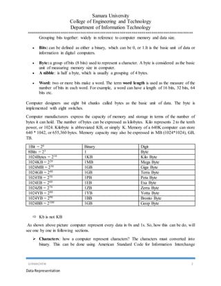 Data representation in a computer | DOCX