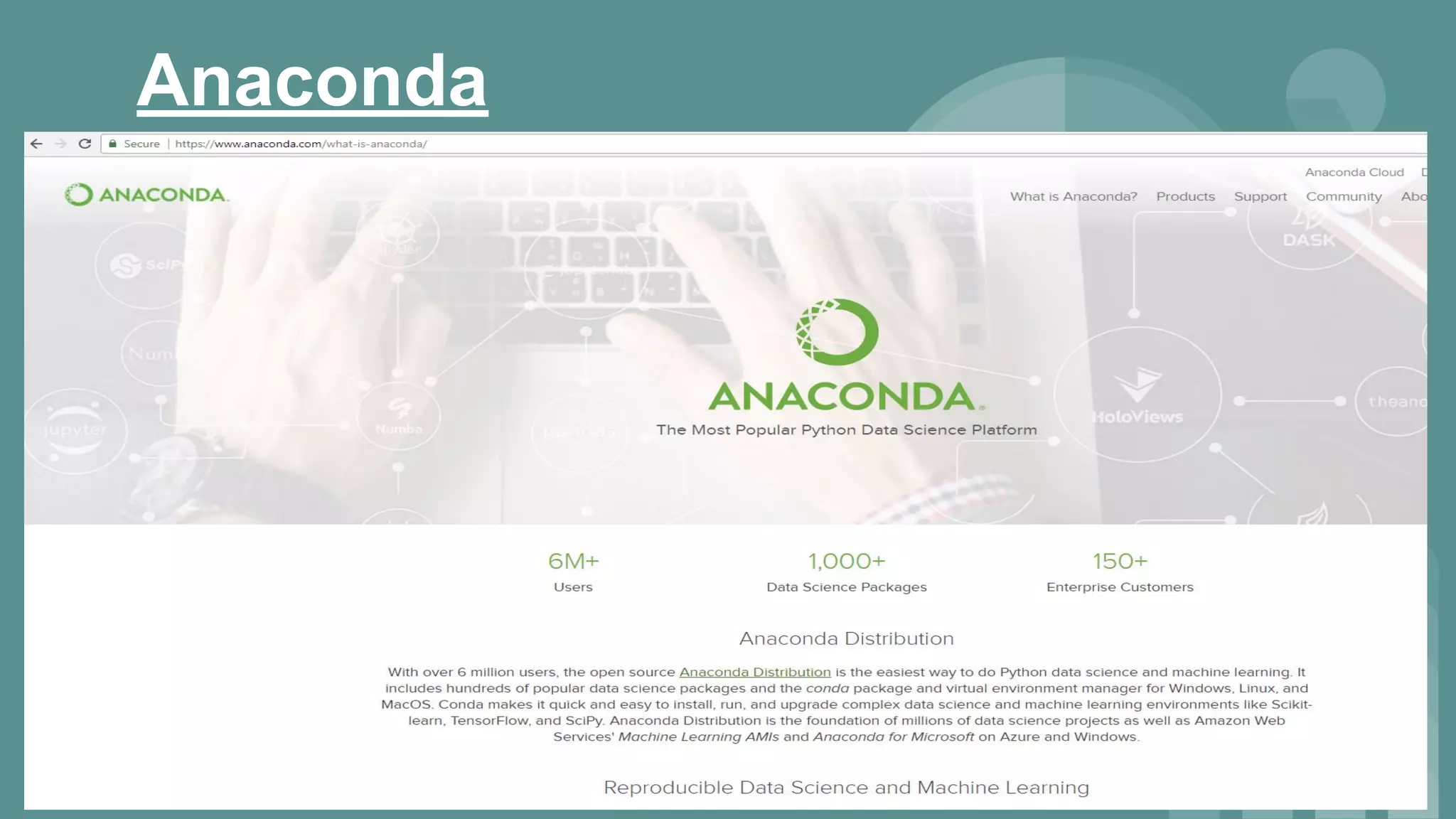 Anaconda
 
