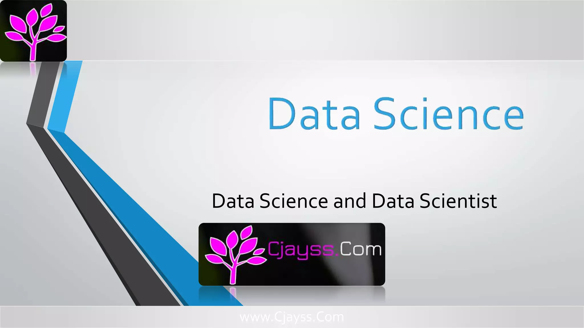Data Science and Data Scientist
www.Cjayss.Com
 