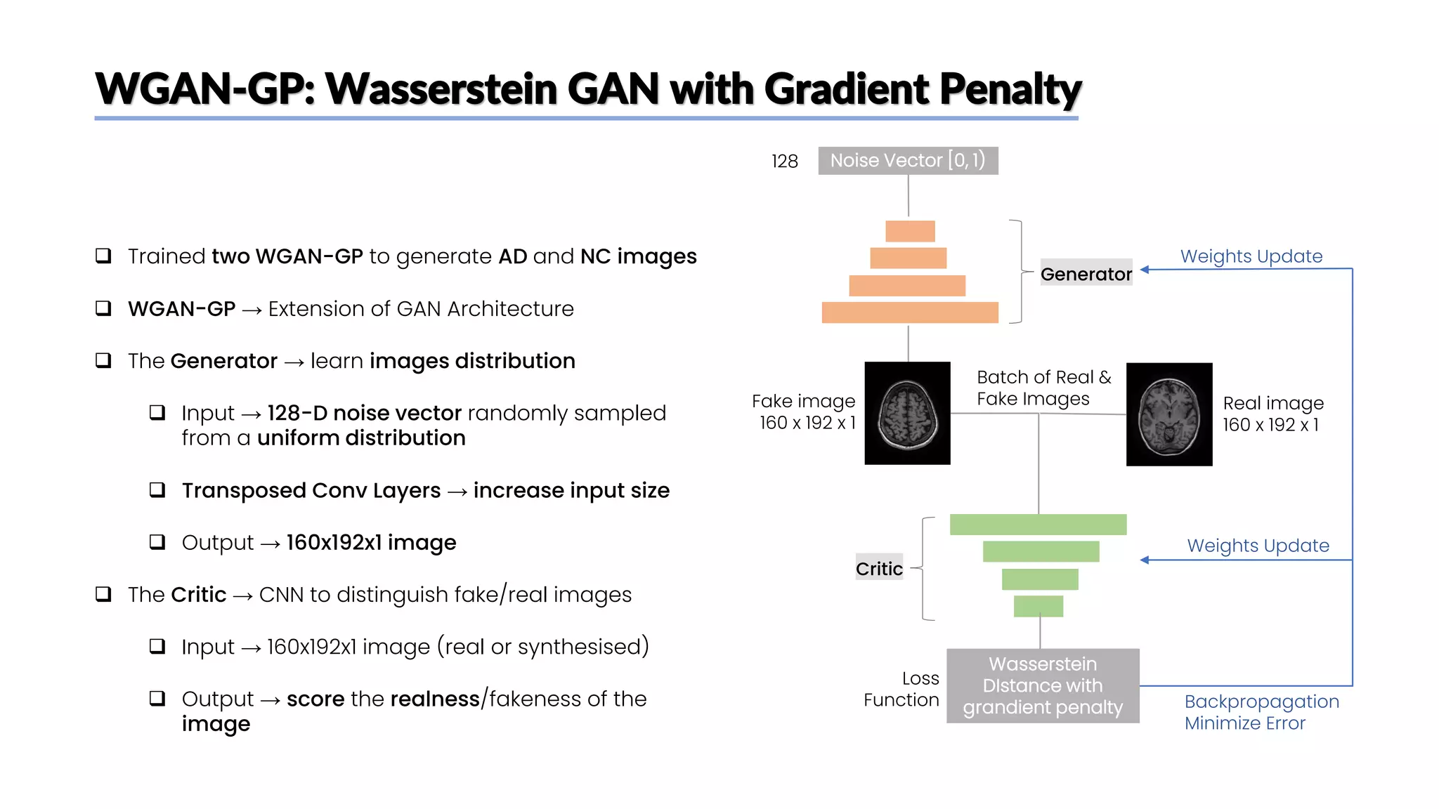 WGAN-GP: Wasserstein GAN with Gradient Penalty
❑ Trained two WGAN-GP to generate AD and NC images
❑ WGAN-GP → Extension of GAN Architecture
❑ The Generator → learn images distribution
❑ Input → 128-D noise vector randomly sampled
from a uniform distribution
❑ Transposed Conv Layers → increase input size
❑ Output → 160x192x1 image
❑ The Critic → CNN to distinguish fake/real images
❑ Input → 160x192x1 image (real or synthesised)
❑ Output → score the realness/fakeness of the
image
Noise Vector [0, 1)
128
Fake image
160 x 192 x 1
Real image
160 x 192 x 1
Batch of Real &
Fake Images
Wasserstein
DIstance with
grandient penalty
Loss
Function
Generator
Critic
Weights Update
Weights Update
Backpropagation
Minimize Error
 