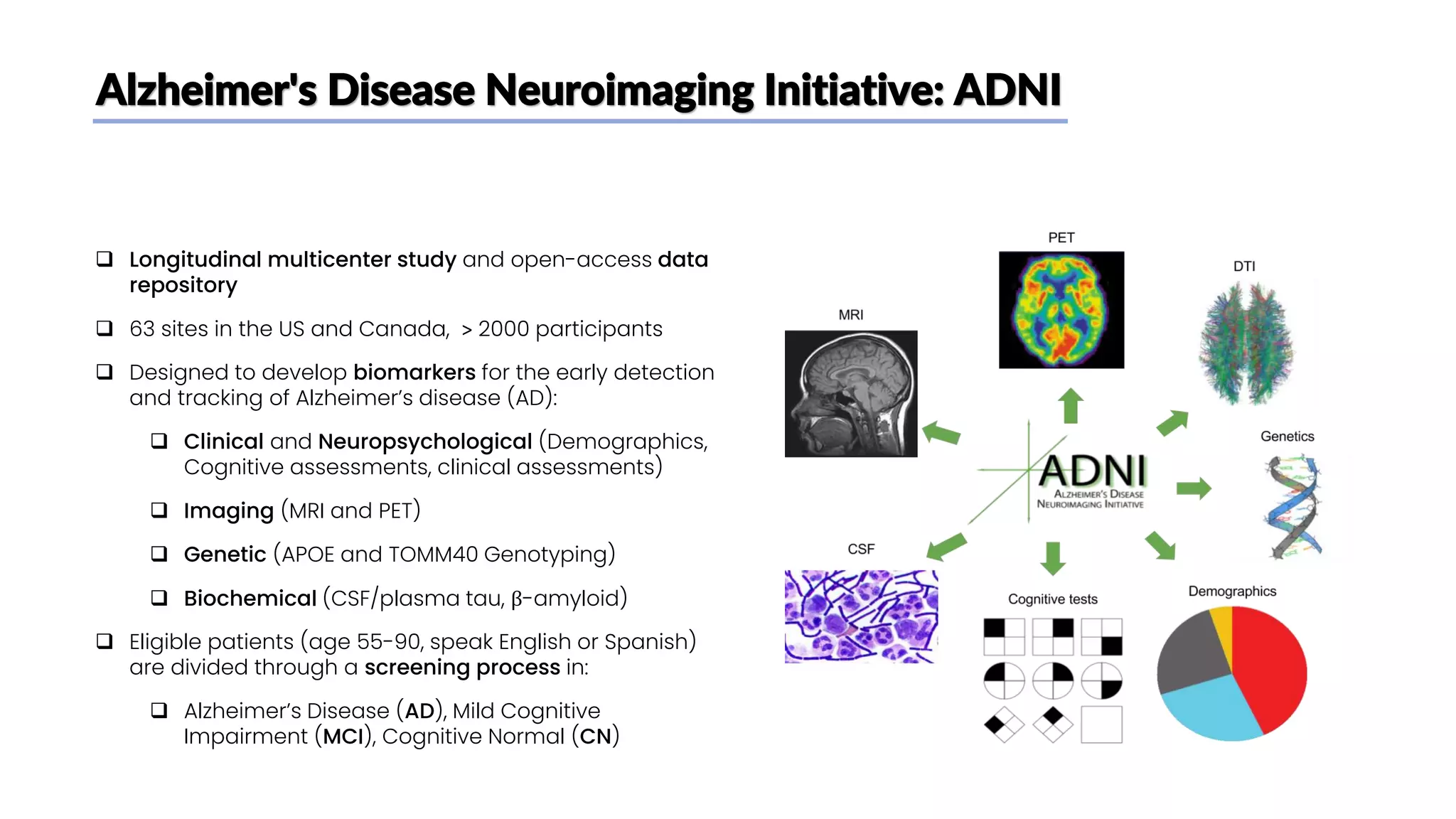 Alzheimer's Disease Neuroimaging Initiative: ADNI
❑ Longitudinal multicenter study and open-access data
repository
❑ 63 sites in the US and Canada, > 2000 participants
❑ Designed to develop biomarkers for the early detection
and tracking of Alzheimer’s disease (AD):
❑ Clinical and Neuropsychological (Demographics,
Cognitive assessments, clinical assessments)
❑ Imaging (MRI and PET)
❑ Genetic (APOE and TOMM40 Genotyping)
❑ Biochemical (CSF/plasma tau, β-amyloid)
❑ Eligible patients (age 55-90, speak English or Spanish)
are divided through a screening process in:
❑ Alzheimer’s Disease (AD), Mild Cognitive
Impairment (MCI), Cognitive Normal (CN)
 
