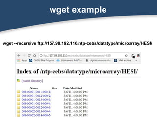 Web Scraping Basics | PPTX