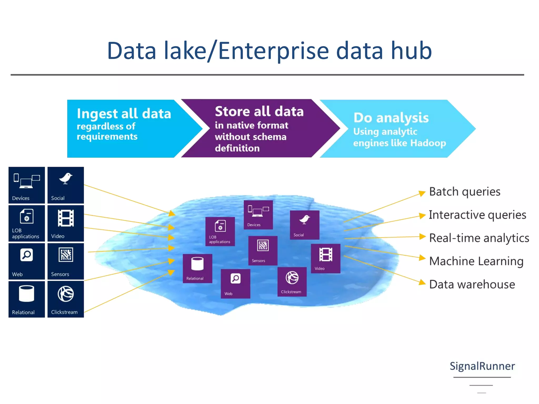 Data lake/Enterprise data hub
 