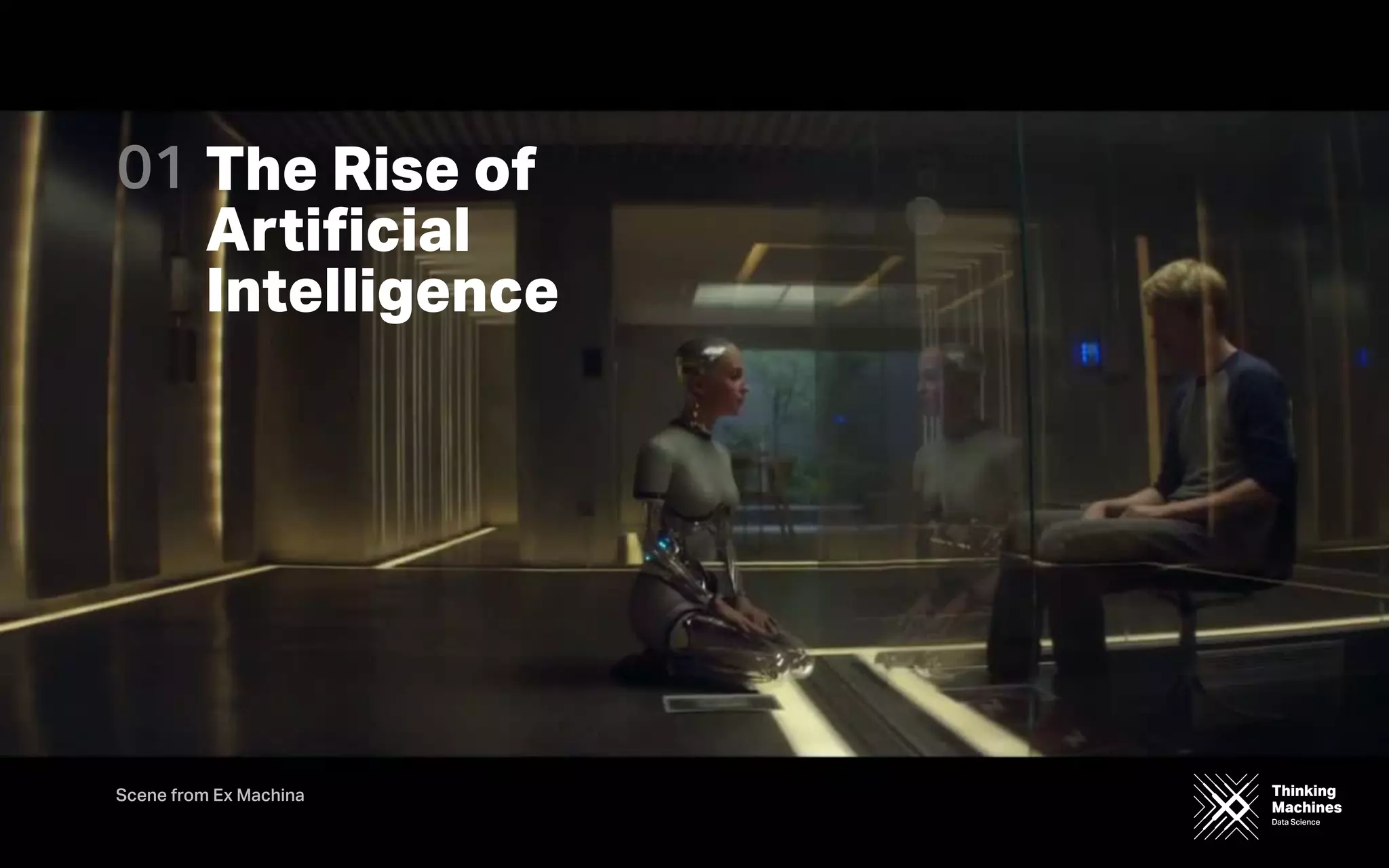 Thinking
Machines
Data Science
Thinking
Machines
Data Science
Scene from Ex Machina
The Rise of
Artiﬁcial
Intelligence
01
 