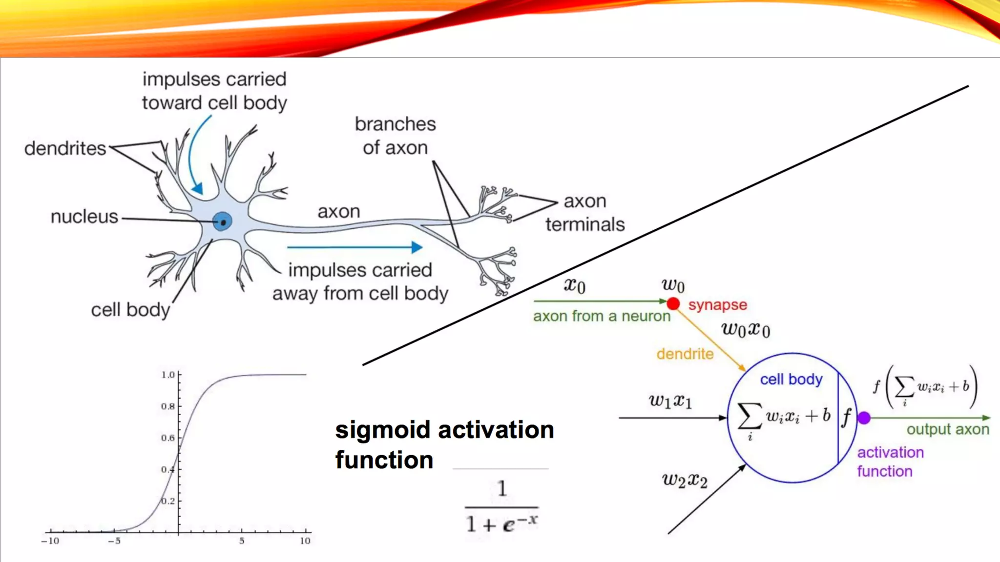 UNDERSTANDING NEURAL
NETWORKS #1
 