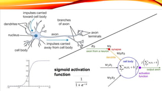 UNDERSTANDING NEURAL
NETWORKS #1
 