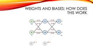 WEIGHTS AND BIASES: HOW DOES
THIS WORK
 