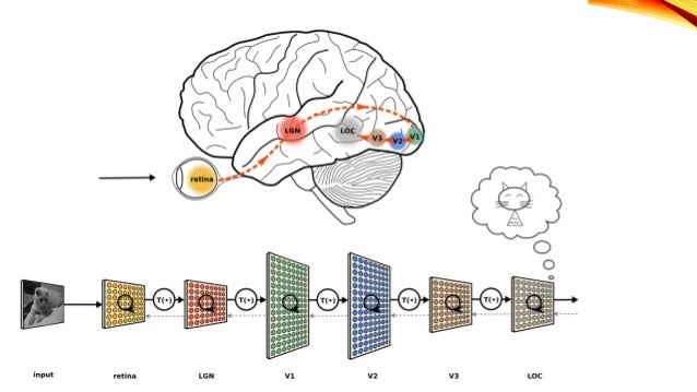 machine learning on networks