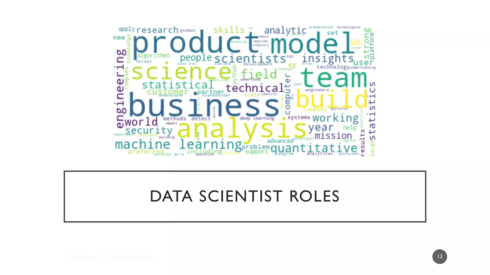 DATA SCIENTIST ROLES
12
 