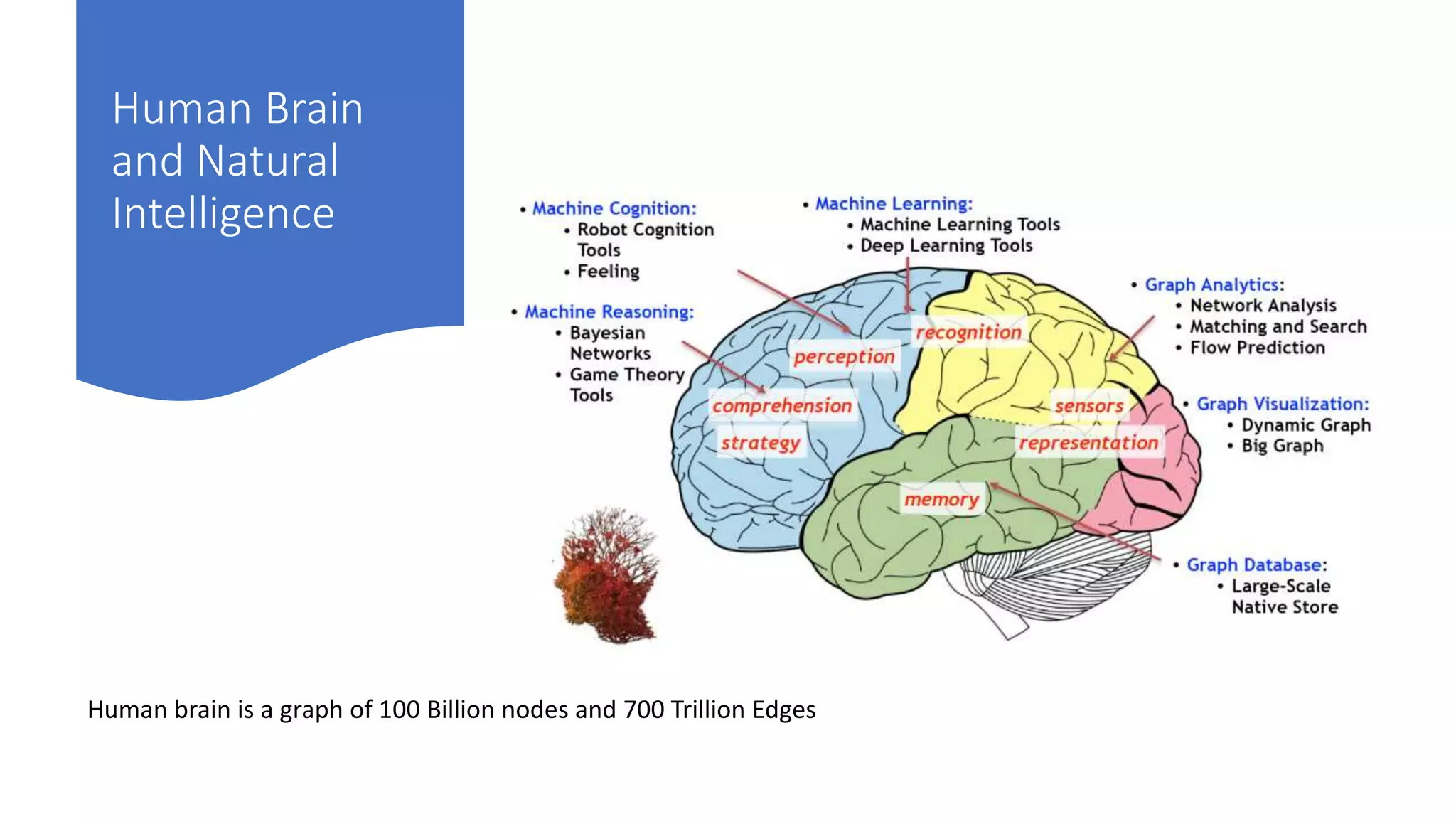 Human Brain
and Natural
Intelligence
Human brain is a graph of 100 Billion nodes and 700 Trillion Edges
 