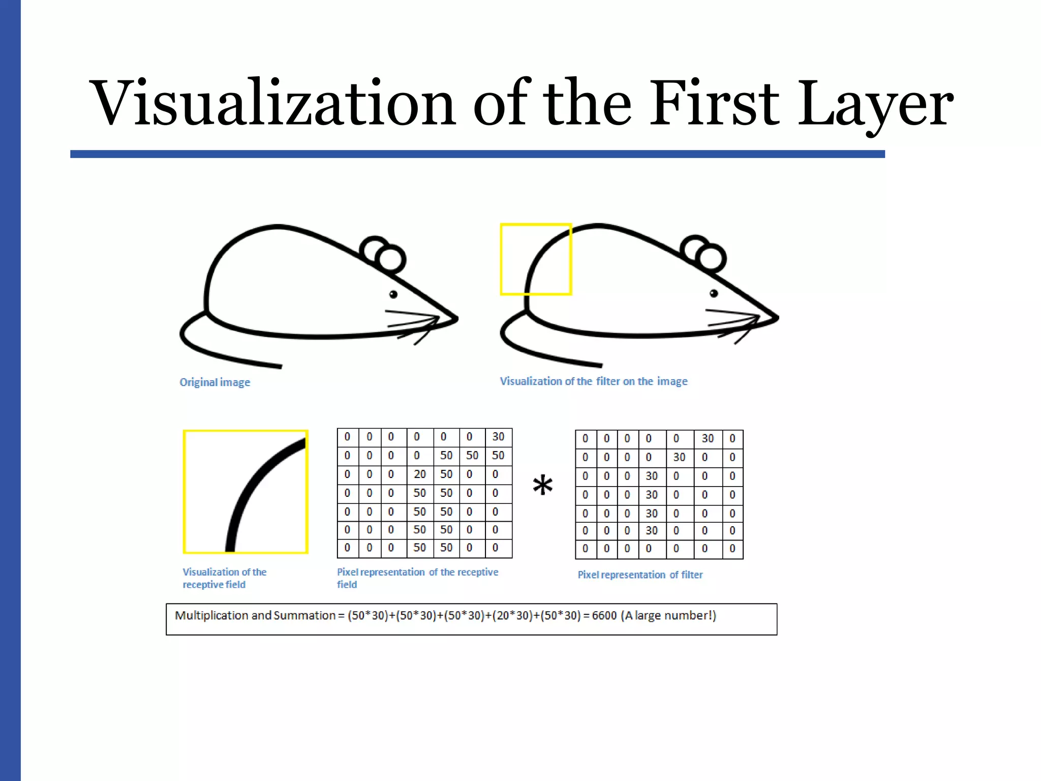 Visualization of the First Layer
 