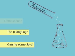 Agenda
Data Science
The R language
Gimme some Java!
1
1
1 1
11
1
1
0
0
0
0
0
0
 