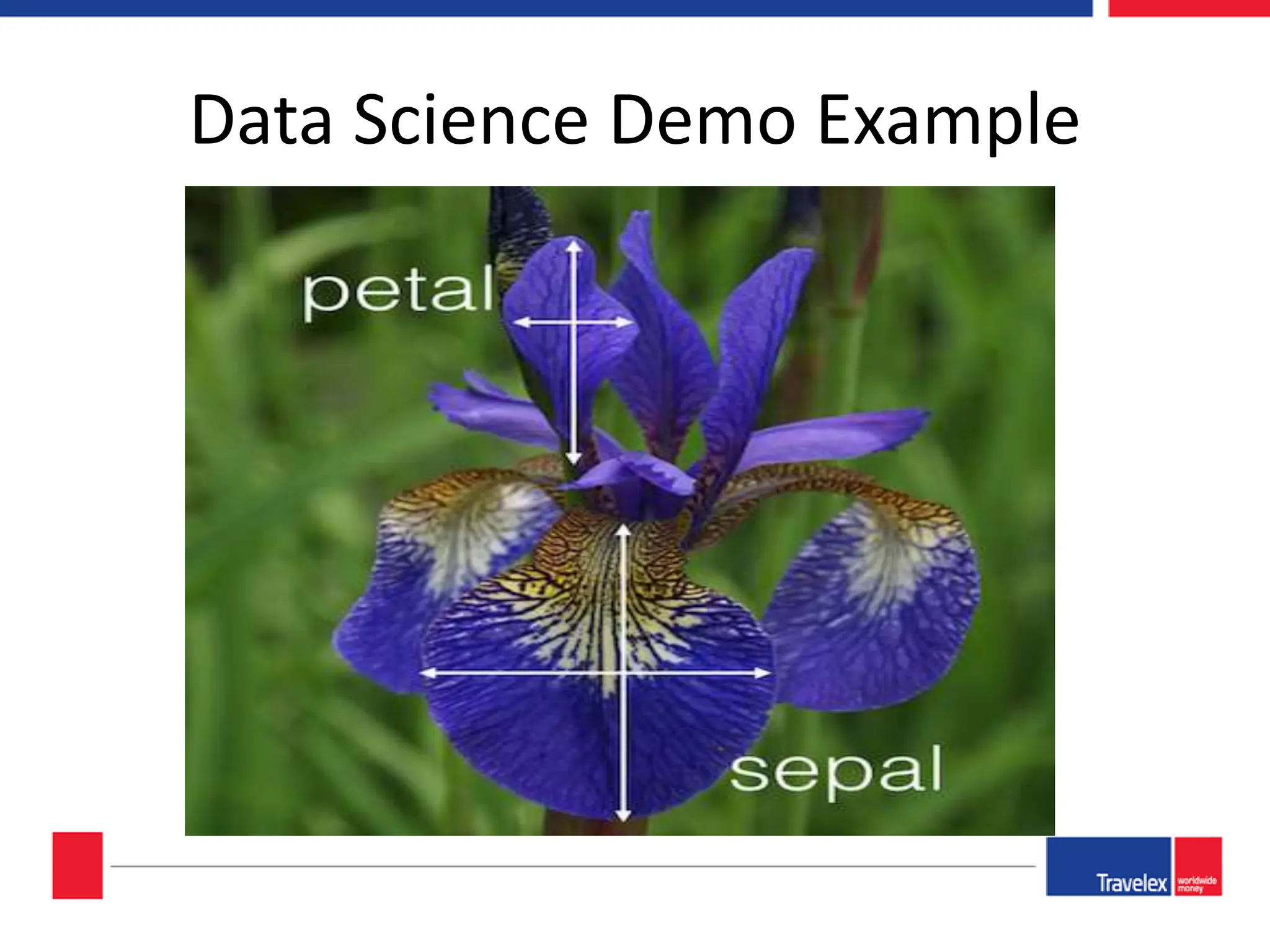 Data Science Demo Example 