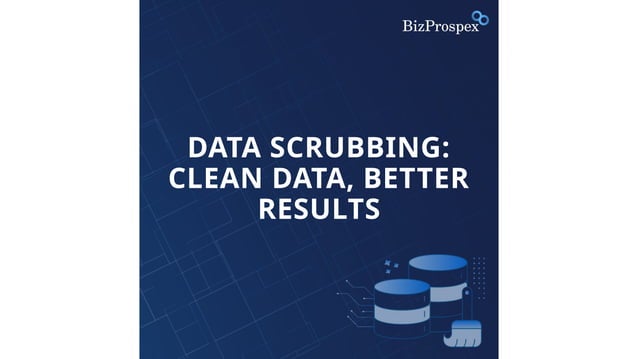 Data Scrubbing Presentation - Bizprospex | PPTX