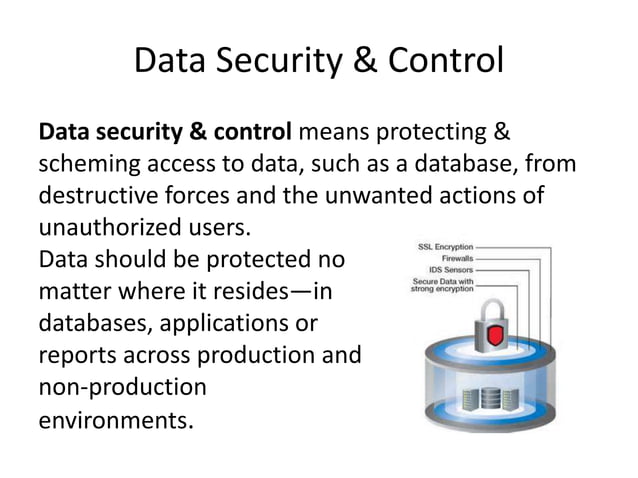 Data/File Security & Control | PPT