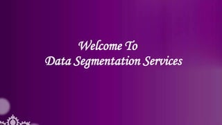 Welcome To
Data Segmentation Services
 