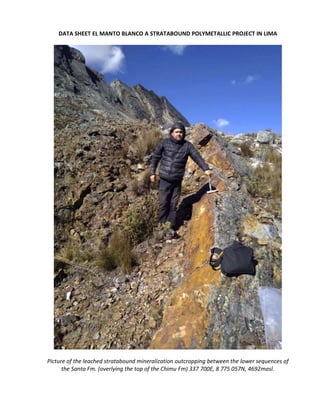 DATA SHEET EL MANTO BLANCO A STRATABOUND POLYMETALLIC PROJECT IN LIMA
Picture of the leached stratabound mineralization outcropping between the lower sequences of
the Santa Fm. (overlying the top of the Chimu Fm) 337 700E, 8 775 057N, 4692masl.
 