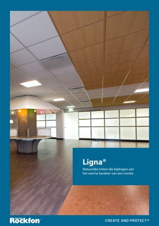 Ligna®
Natuurlijke tinten die bijdragen aan
het warme karakter van een ruimte.

 
