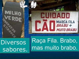 Raça Fila. Brabo,
Diversos
mas muito brabo.
sabores.

 