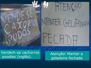 Vendem-se cachorros
poodles (inglês).

Atenção! Manter a
geladeira fechada

 