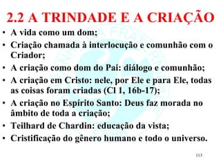 2.2 A TRINDADE E A CRIAÇÃO A vida como um dom; Criação chamada à interlocução e comunhão com o Criador; A criação como dom do Pai: diálogo e comunhão; A criação em Cristo: nele, por Ele e para Ele, todas as coisas foram criadas (Cl 1, 16b-17); A criação no Espírito Santo: Deus faz morada no âmbito de toda a criação; Teilhard de Chardin: educação da vista; Cristificação do gênero humano e todo o universo. 