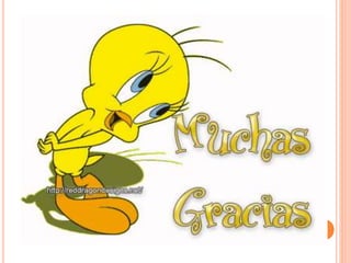 Data show de bibi jose de san martin