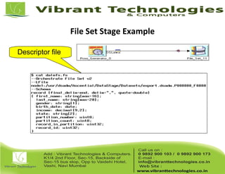 File Set Stage Example
Descriptor file
 