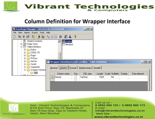 Column Definition for Wrapper Interface
 