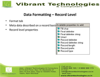 Data Formatting – Record Level
• Format tab
• Meta data described on a record basis
• Record level properties
 