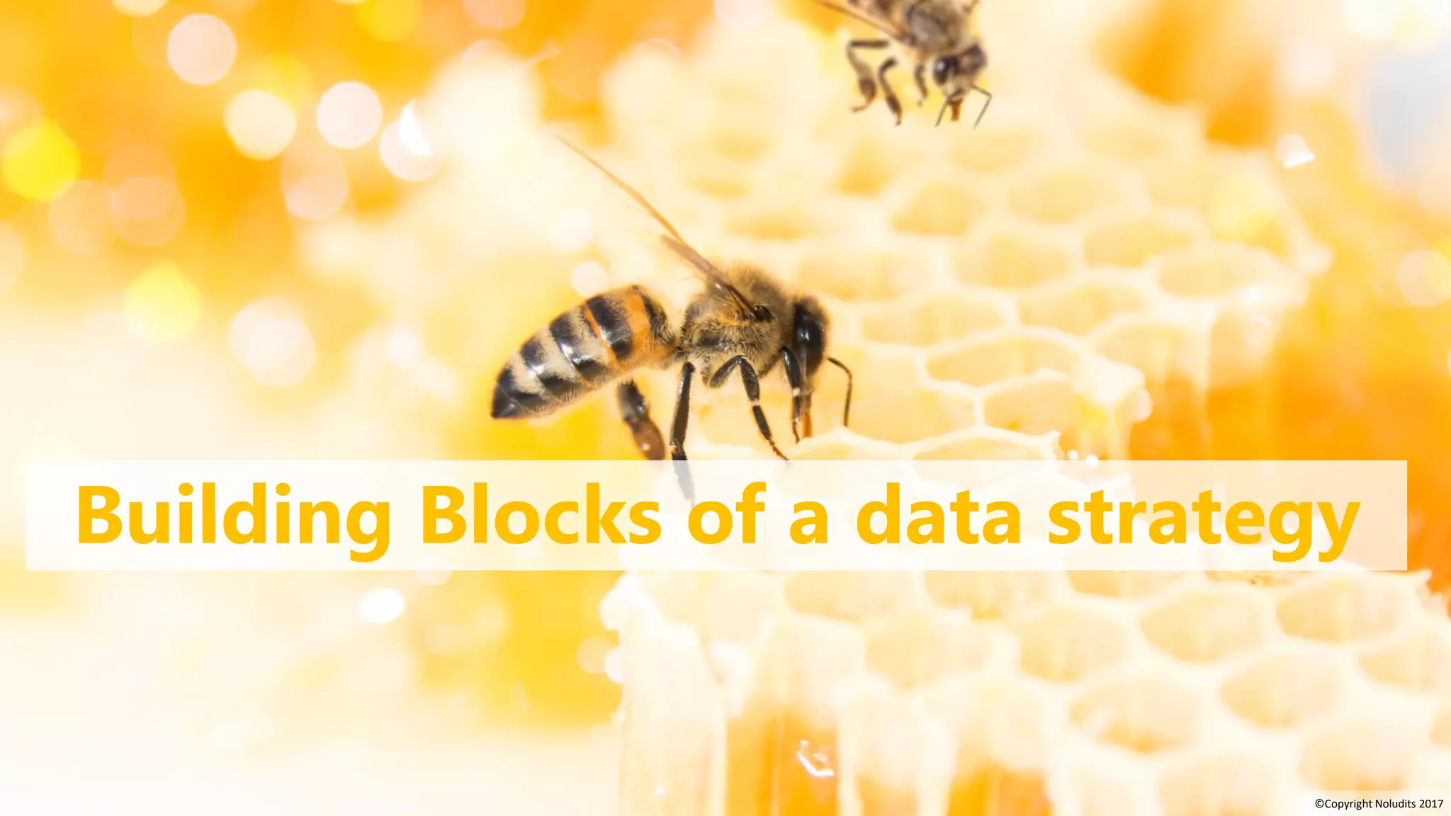 21
Building Blocks of a data strategy
©Copyright Noludits 2017
 
