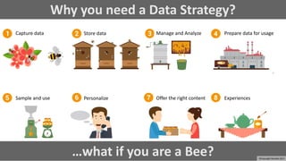 Why you need a Data Strategy?
Capture data Store data Manage and Analyze Prepare data for usage
Sample and use Personalize Offer the right content Experiences
…what if you are a Bee? ©Copyright Noludits 2017
 