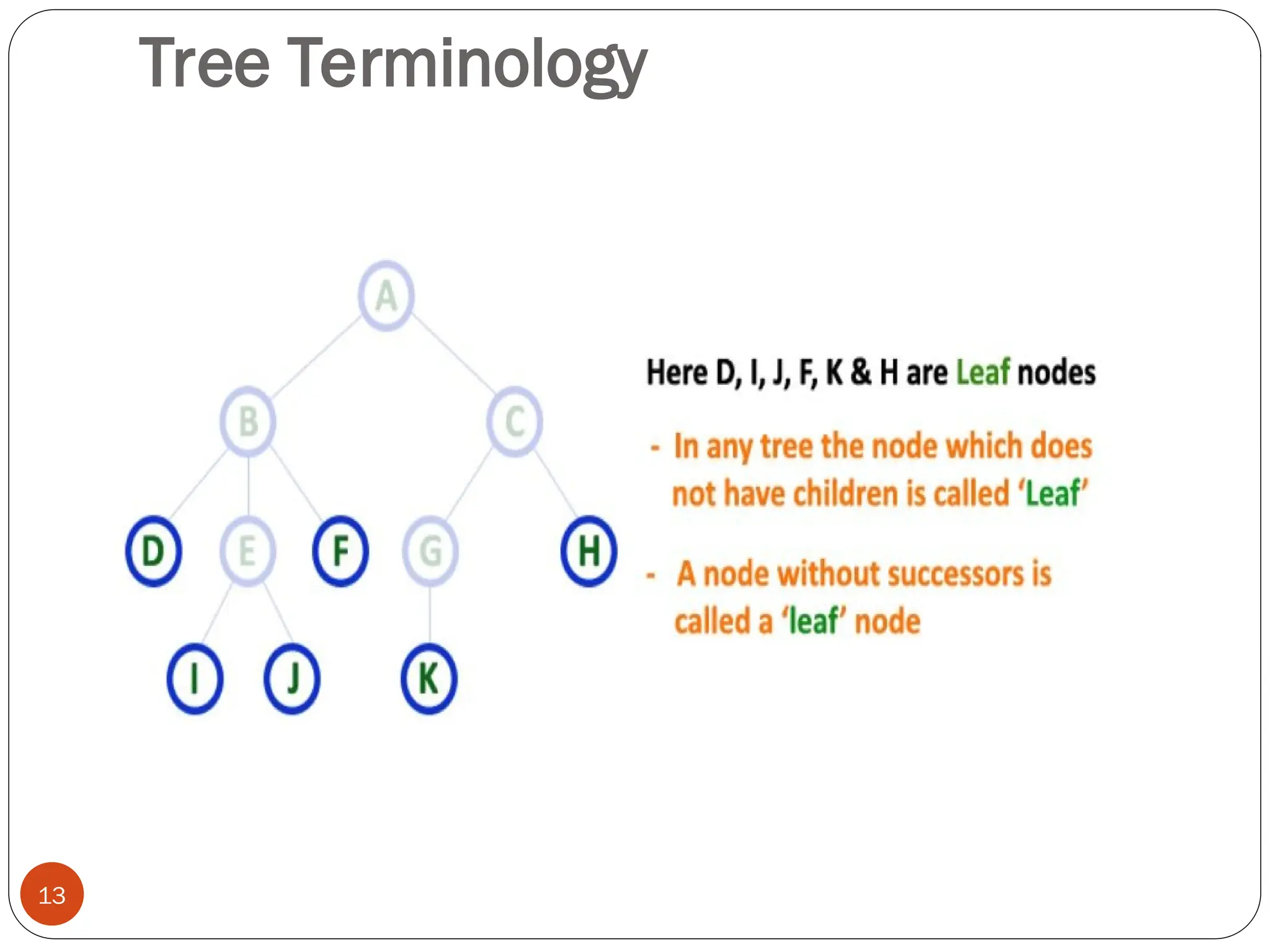 Tree Terminology
13
 