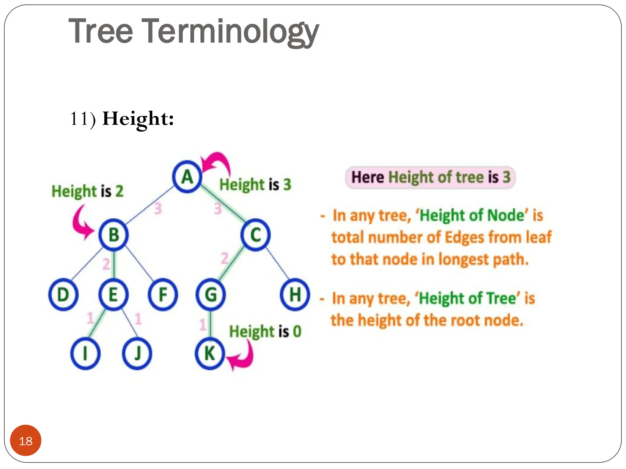 Tree Terminology
11) Height:
18
 