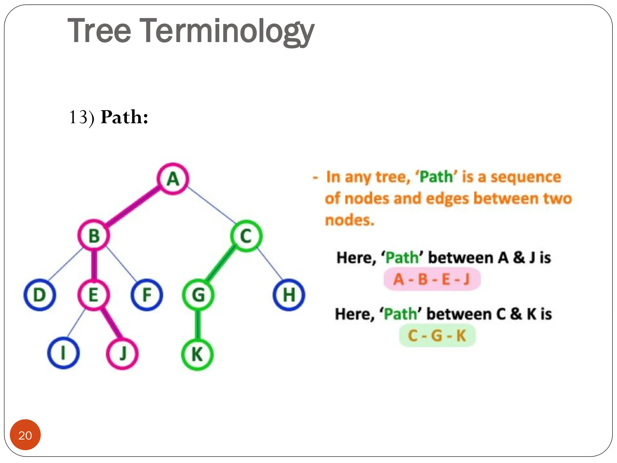 Tree Terminology
13) Path:
20
 