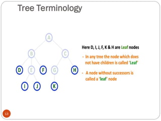 Tree Terminology
13
 