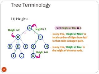 Tree Terminology
11) Height:
18
 