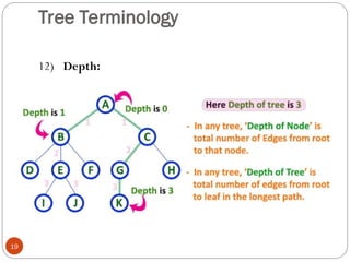 Tree Terminology
12) Depth:
19
 