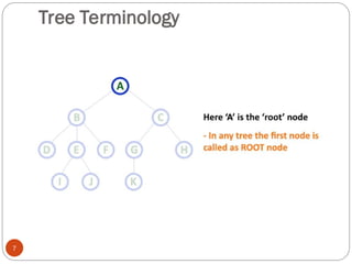 Tree Terminology
7
 