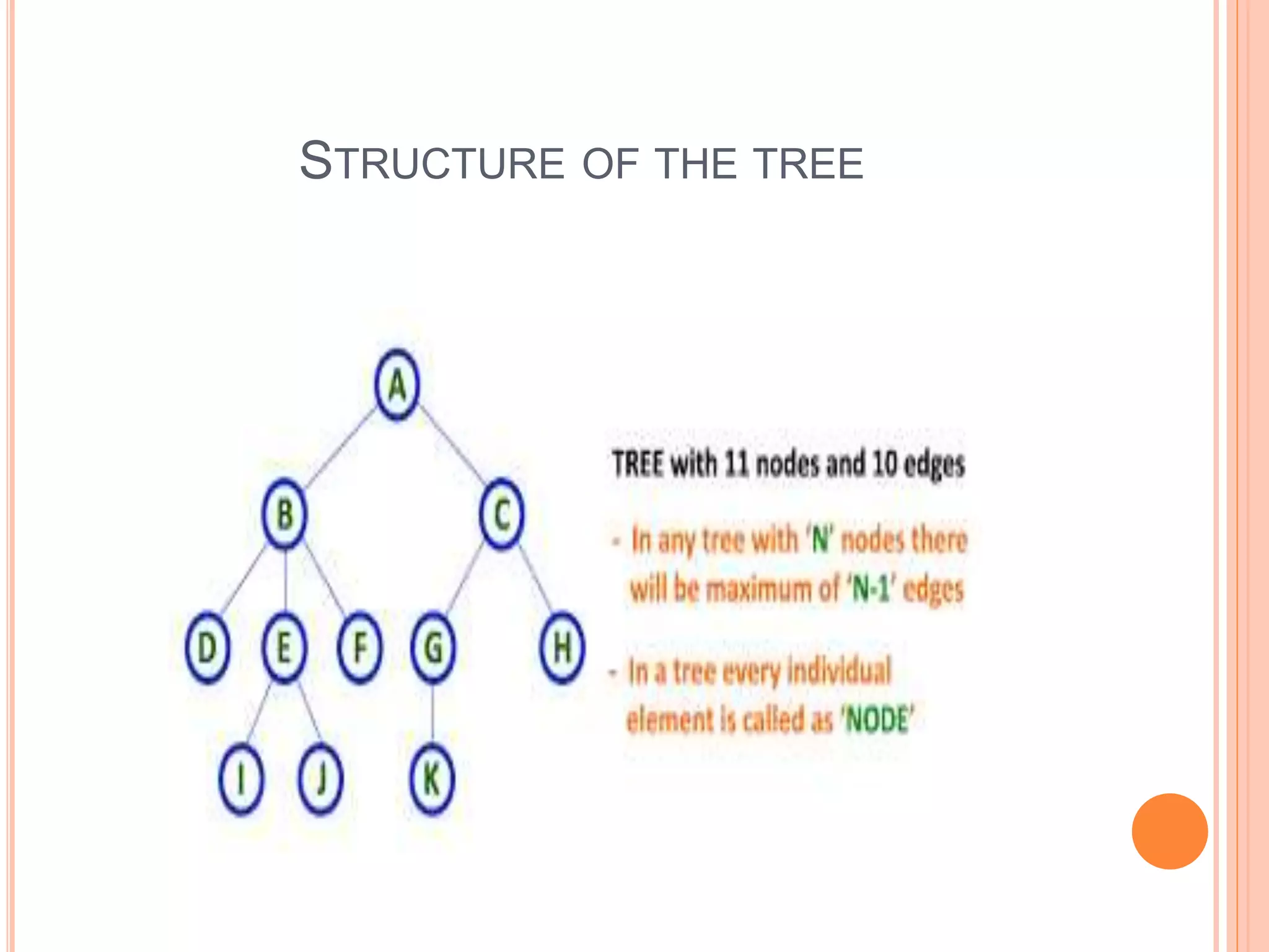 STRUCTURE OF THE TREE
 