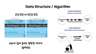 Data Structure / Algorithm
손실 압축 vs 무손실 압축
size가 많이 줄어도 명확한 차이가
없어보임
 