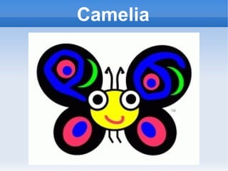 Camelia 