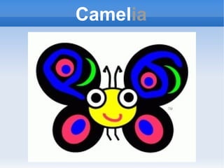 Camel ia 
