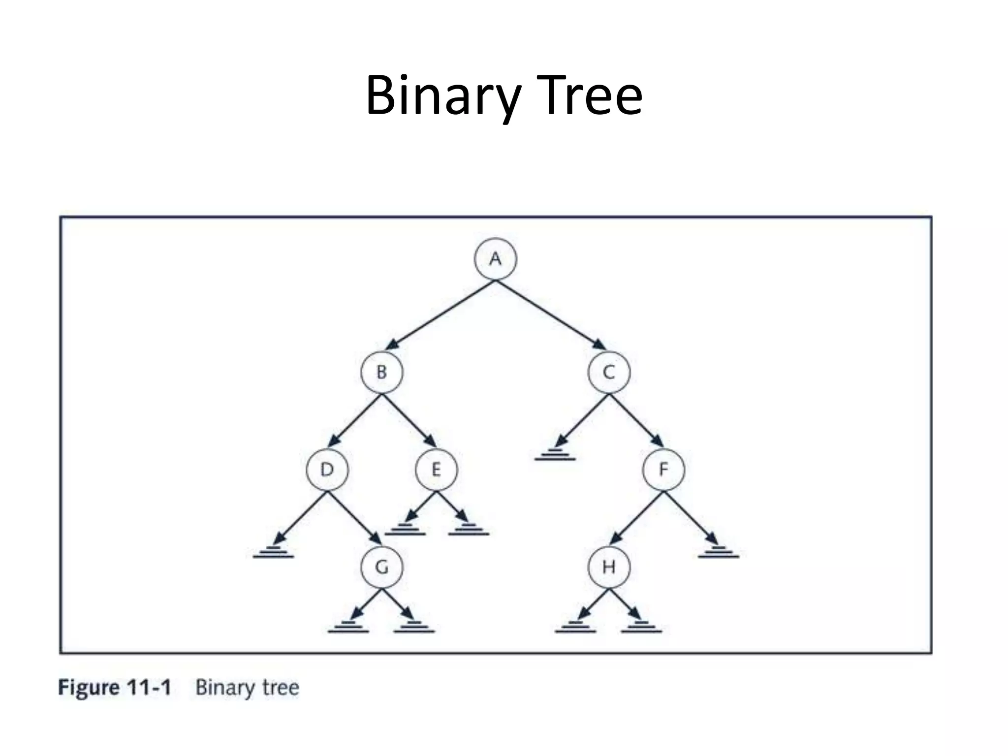 Binary Tree
 