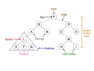 Data Structures and Algorithm Intoduction | PPTX