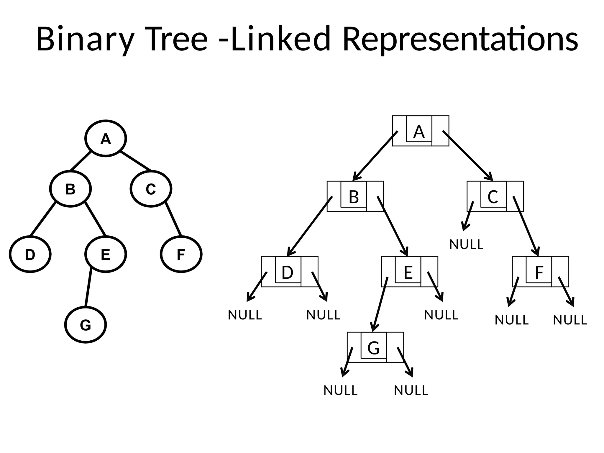 Binary Tree -Linked Representations
A
B C
D E F
G
A
B C
F
D E
G
NULL NULL
NULL NULL
NULL
NULL NULL NULL
 